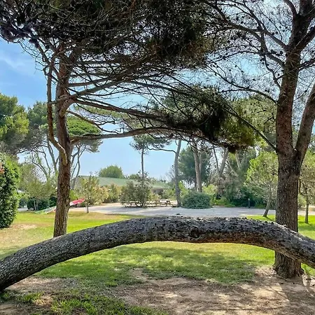 En Résidence Privée, Face à La Avec Accès Direct Hyères